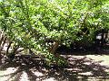 28 - Jardin des eaux 037